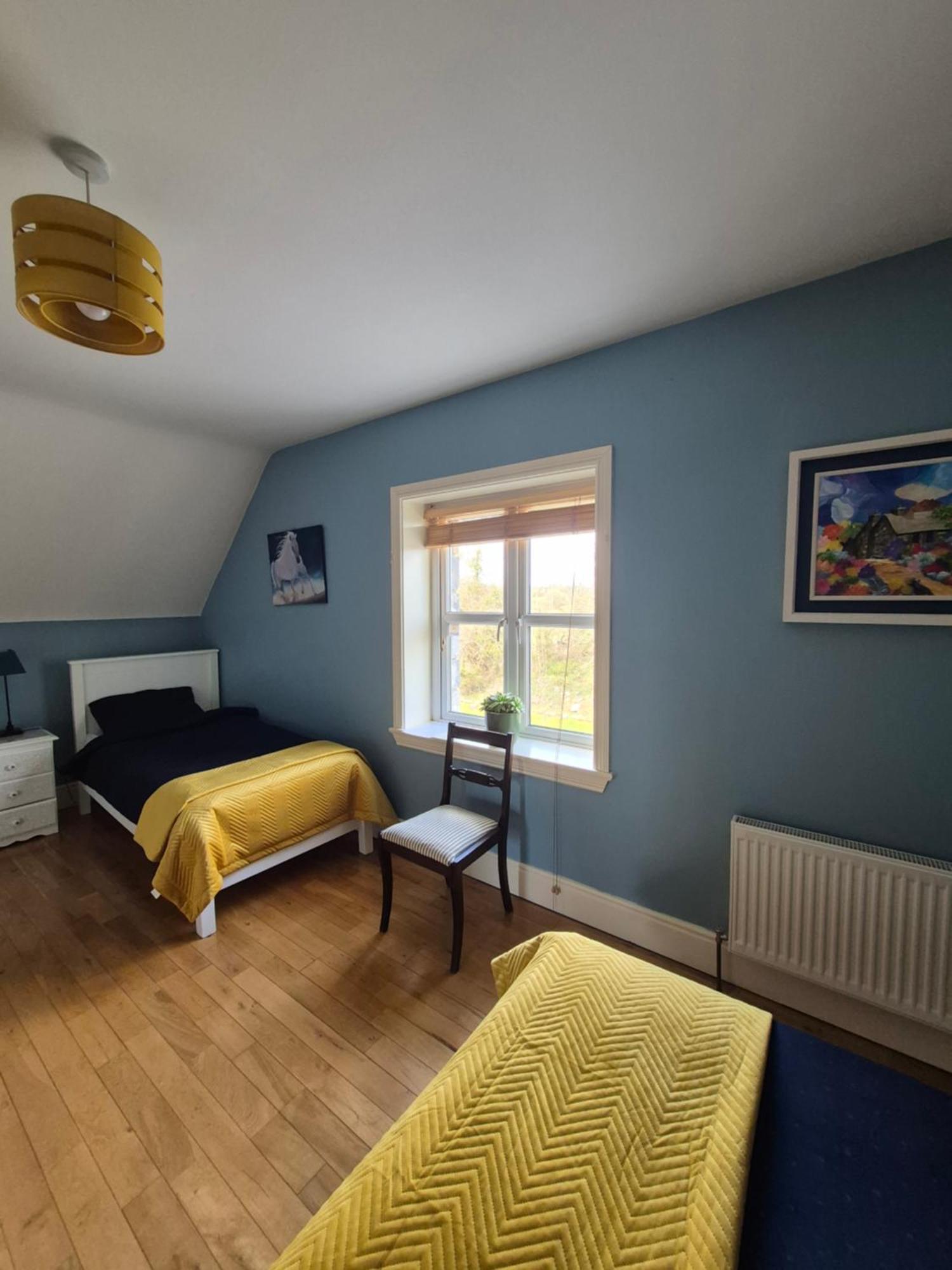 Ballinasloe Guest House In The Heart Of The Country מראה חיצוני תמונה